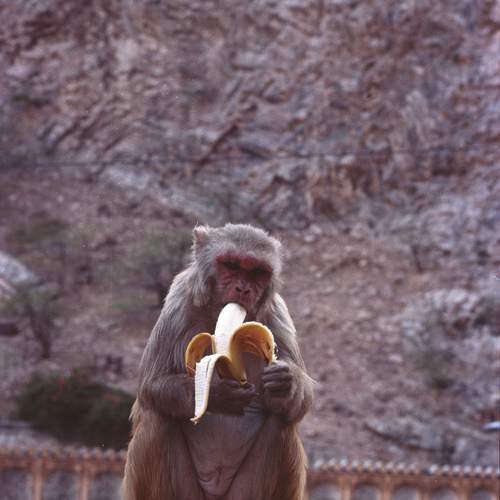 Photo #11720560