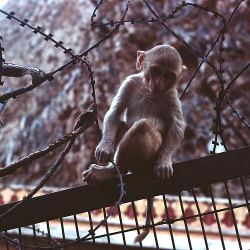 Photo #11720562