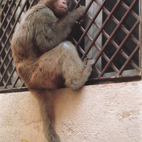 Photo #11720565