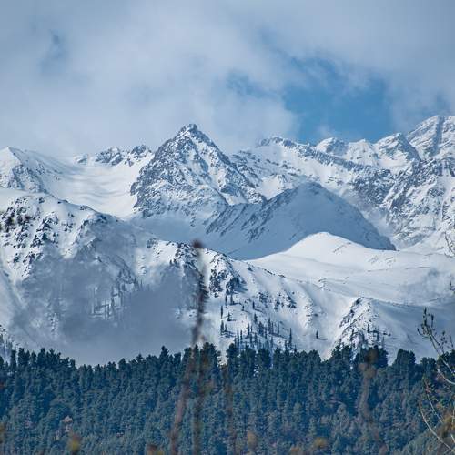 Photo #11720734