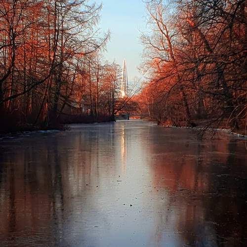 Photo #11720879