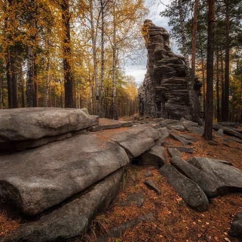 Фотография #11720909