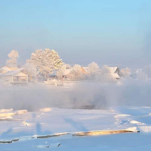 Photo #11721058