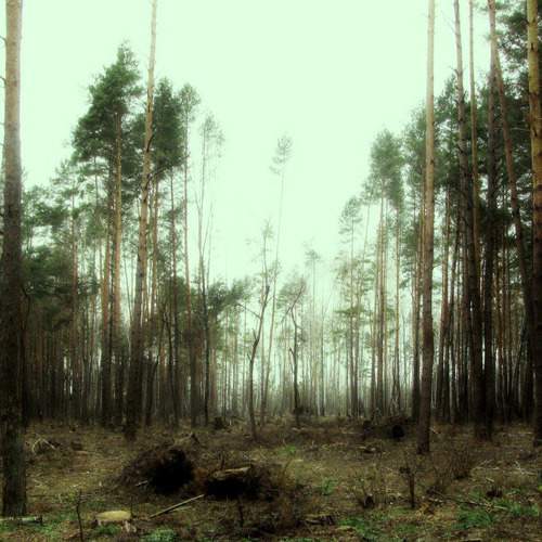 Photo #11721233