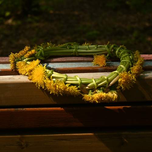 Photo #11721319