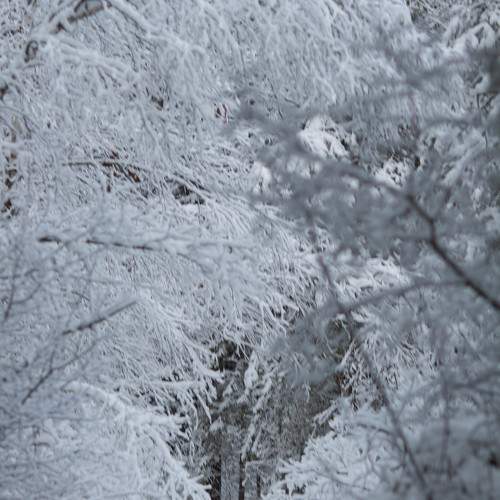 Photo #11721357