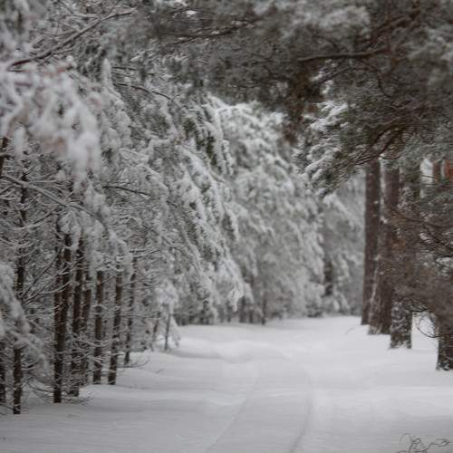Photo #11721362