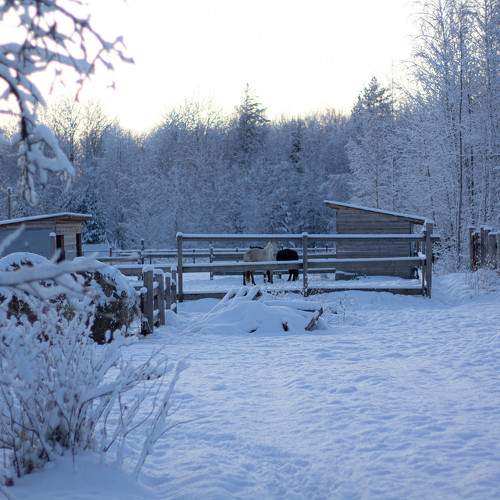 Photo #11721379