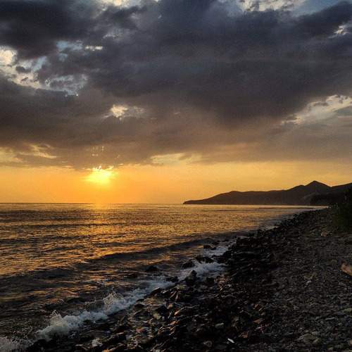 Photo #11721405