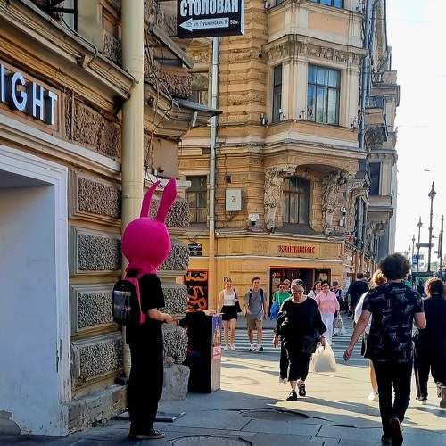 Photo #11721569