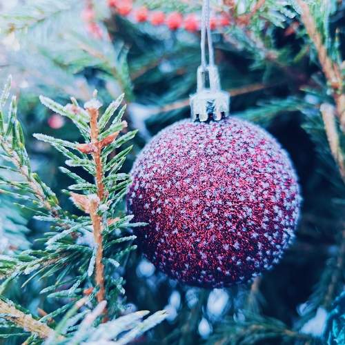 Photo #11721605