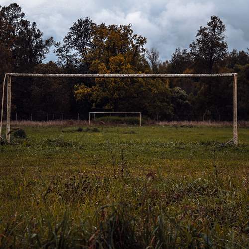 Photo #11722096
