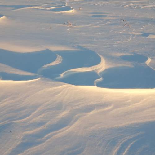 Photo #11722144