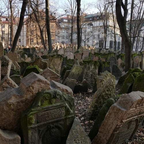 Photo #11722217