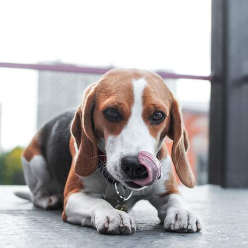 Photo #11722345