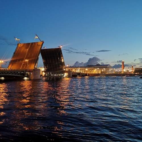 Photo #11722384