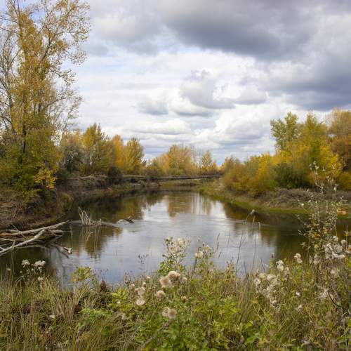 Photo #11722673