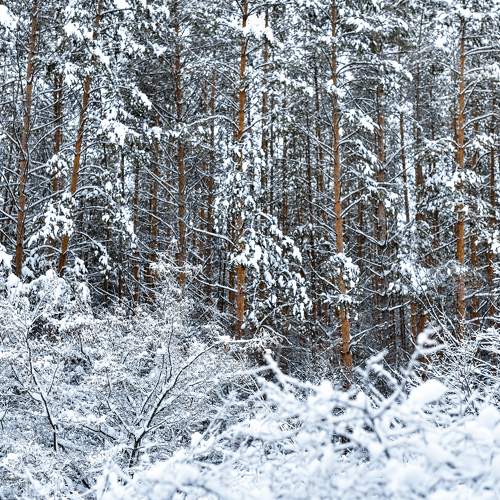 Photo #11722871