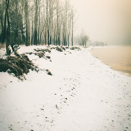 Photo #11722898