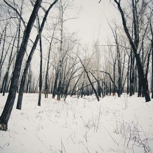 Photo #11722899