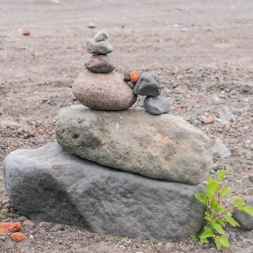 Photo #11722970