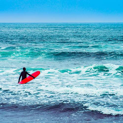 Photo #11722972