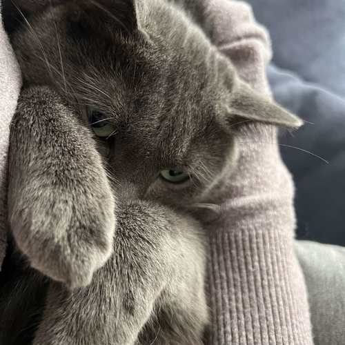 Photo #11723222