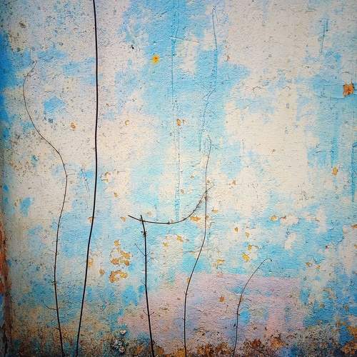 Photo #11723265
