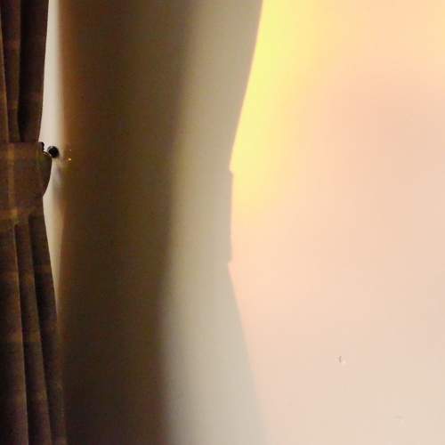 Photo #11723574