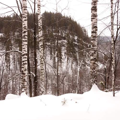 Photo #11723643