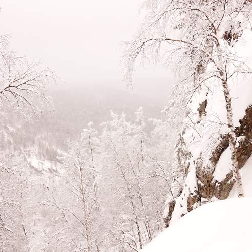 Photo #11723653