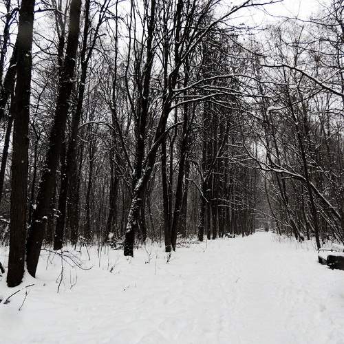Photo #11723880
