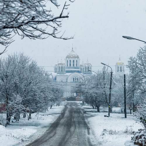 Photo #11724347