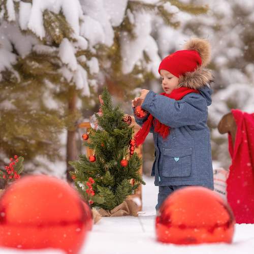 Фотография #11724356