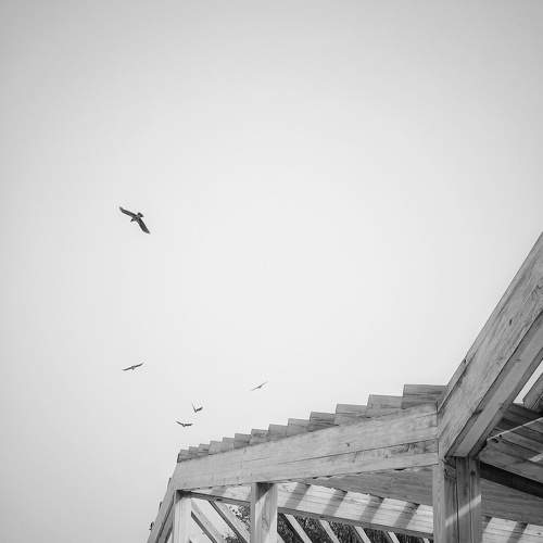 Photo #11724385