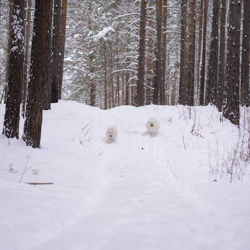 Фотография #11724388