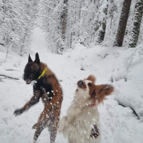 Photo #11725145