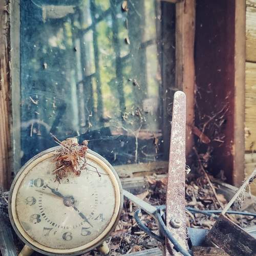 Photo #11725275
