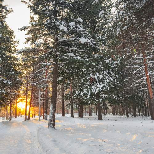 Photo #11725286