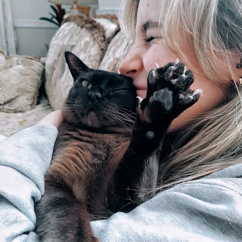 Photo #11725596