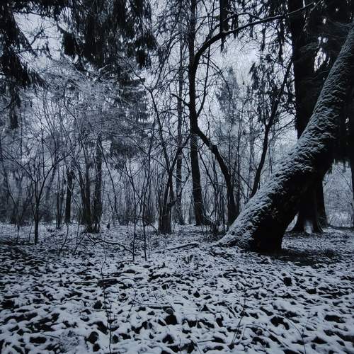 Photo #11725960