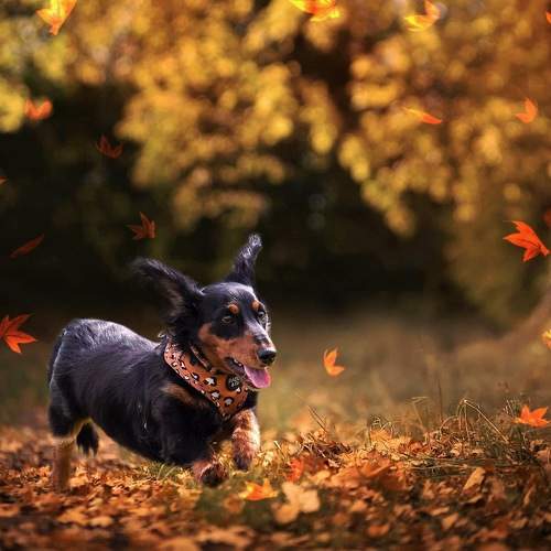 Photo #11726050