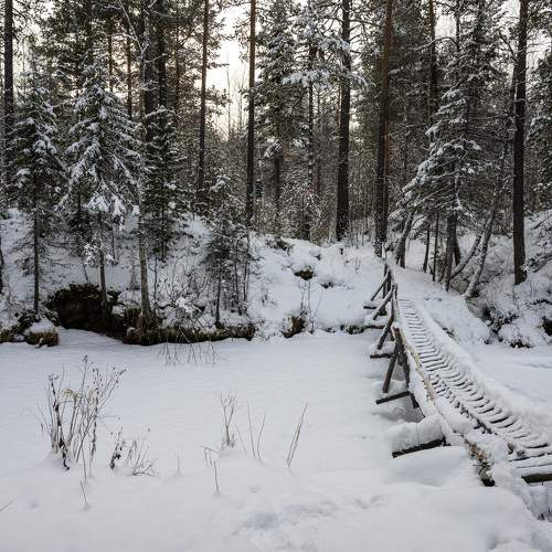 Photo #11726358
