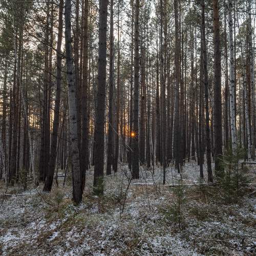 Photo #11726359