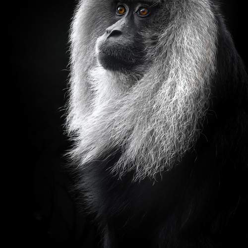Photo #11726426