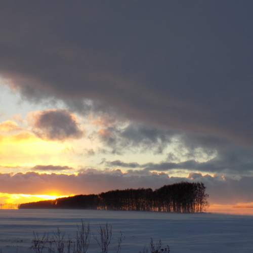 Photo #11726479