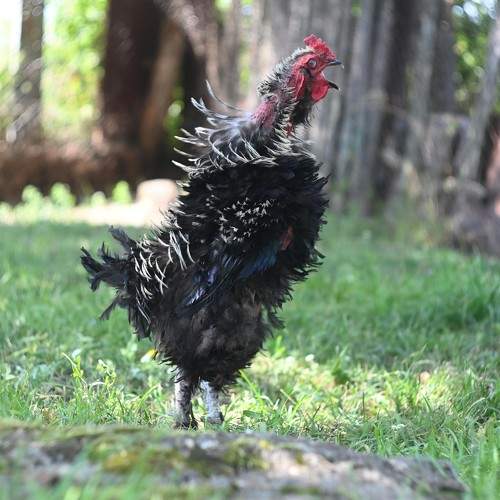 Photo #11726759
