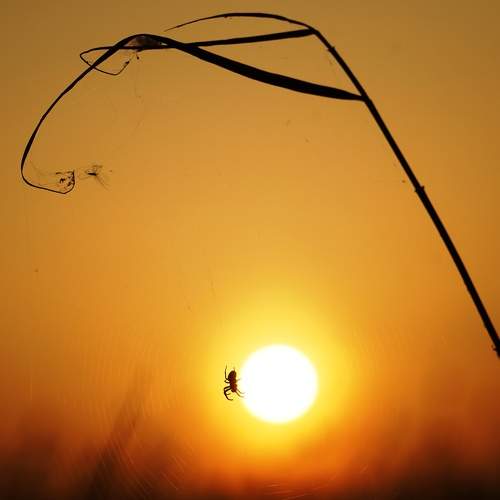 Photo #11726969