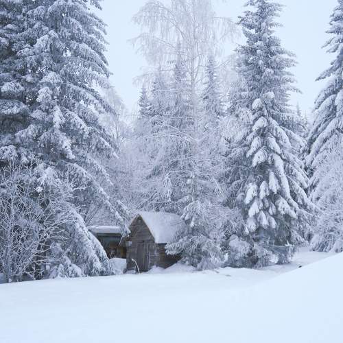 Photo #11727030
