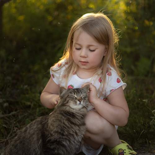 Photo #11727087